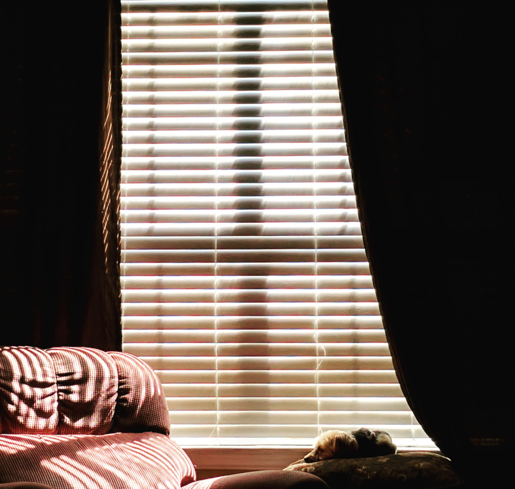 Curtains in a room