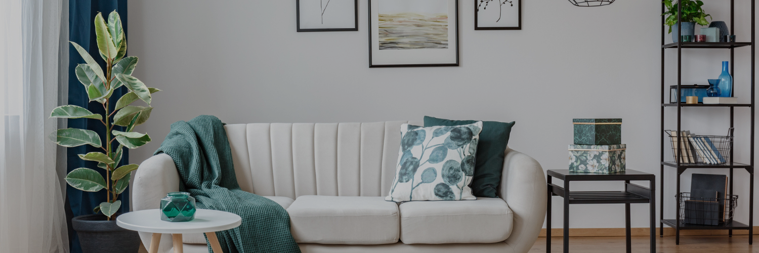 Modern living room featuring a white couch with decorative pillows, a green throw, a plant, and stylish shelves with decor.